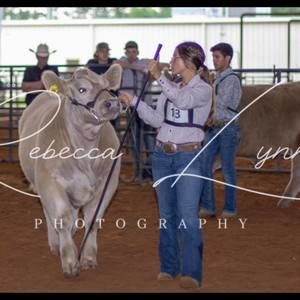 Meet your Posher, Meredith